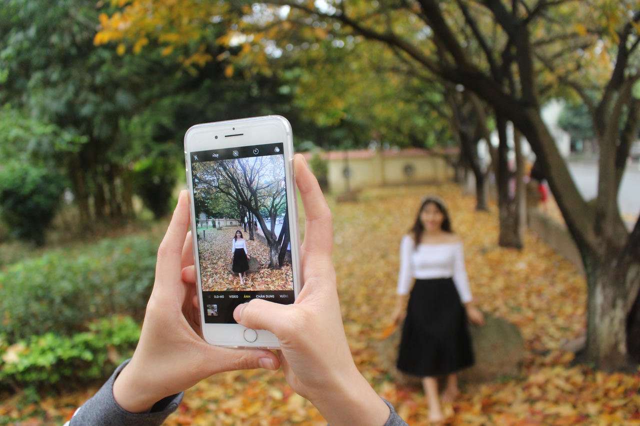 Giới trẻ nô nức check-in con đường lá vàng khuôn viên ĐH Sư Phạm